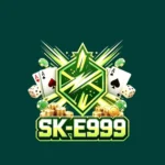 SK E999 Game