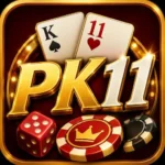 pk11 game