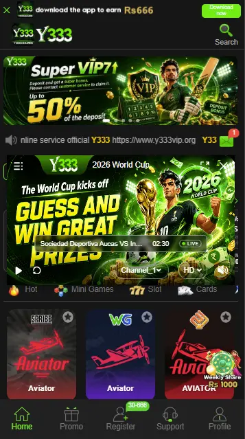 Y333 Game