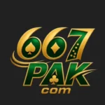 667pak GAME