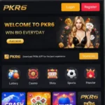 PK.r6 Game